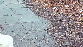 Beautiful teen Mina outdoor Fuck