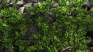 Two Redheads Fucking Hard