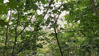 Risky lesbian masturbation in the forest