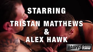Tristan Matthews Alex Hawk