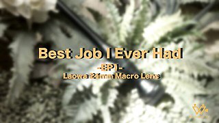 Natural beauty at psychoporntw dirt