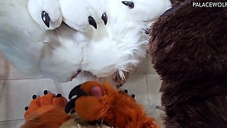 Amateur hooker pounded hardcore in her slit in the sex bus