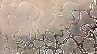 Toilet Videos - Only for Fans