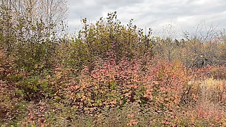 Pissing Pussy From Behind Amazing View