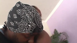 Big Ass 4 Big Black Cock Vol.2