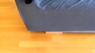 Sexy Teen Enjoys Sucking Monster Cock in POV