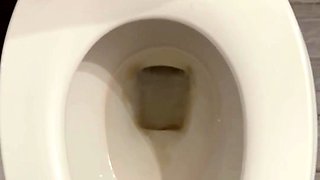Perfectly good toilet right here
