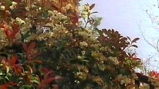 Shameless tart mind-boggling porn story