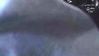 EOK644-XSPNKOGNZP984455923