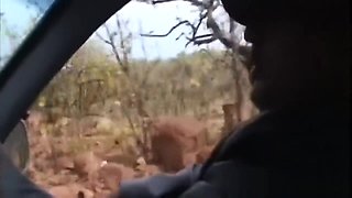 African Chick Seduced Into Blowing Cock In Car