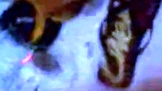 Indonesian Babe Leily Sucks White Cock for Mouthful of Cum