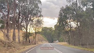 Hot Indian MILF Flashes Her Heavy Cleavage While Driving in Outback - Risky Public Tease!