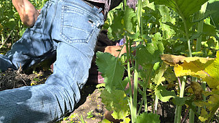 Sasumaa Jamai Ke Sath Outside Kheto Me Romance XXX Video