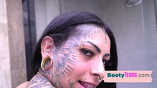 Inked latin arse tgirl barebacked after sucks BF