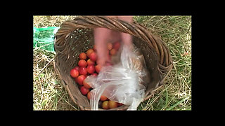 The Old Men and the Girl