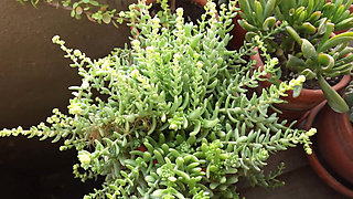 Sfw Day, Fun Day, I'll Show You What a Day of Filming Is Like