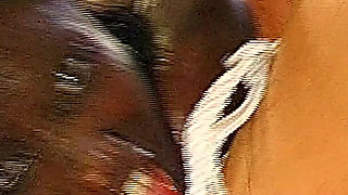 John Thompson: Black Beauty and the Golden Shower