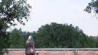 Slave Walks Around in a Chastity Belt and Double Penetrates the Highway