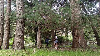 I Fuck a Beautiful Schoolgirl in Her Uniform in the Forest