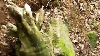 Hot amateur teen blowjob and facial HD video