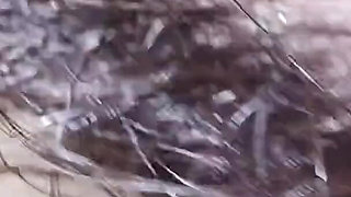 Mallu Neighbour Aunty Sex with Boy