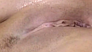 All to Take the Cock.