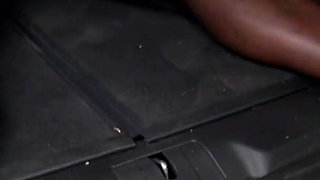 Outdoor threesome fuck for sexy big ass brunette