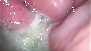 Impregnation Fantasy Cam