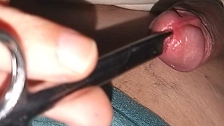 Urethra is tormented