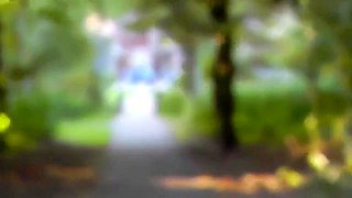 Petite Amie Amateur Fait Une Pipe Risquee Dans Un Parc