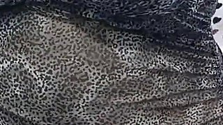 Dance for Her Lover to Fuck Her Big Pussy, Egyptian Arabic Sex with Clear Voice