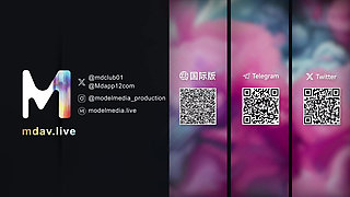 Md-0231 Employee Series/stewardess Hybrid Party