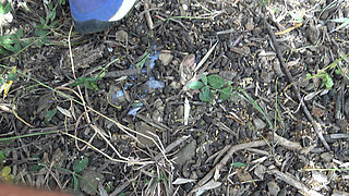 Mature Nudist Cuckold Wife Lets Random Strangers Cum All Over Her