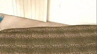 Naudia Rio Quickly Removes Her Pantyhose Give Me Head at Casting