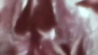 Vintage porn retro erotic theatre - heavenly brunette