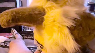Pov amateur blowjob action
