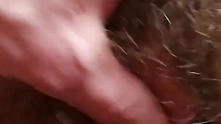 The hairy girlfriend experience hairy pussy fucking and orgasms