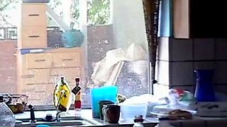 Gorgeous brunette babe fucked hardcore in the bathroom