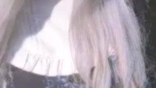 What Types of Flowers Do You Particularly Like?