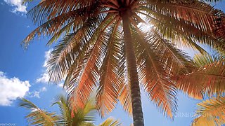 Pet of the Month September 2020