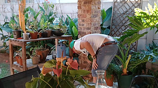 Outdoor Fun with My Neighbours Slutty Wife