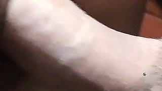 Pussy of a Horny Black-haired Girl in Doggy Style Fucking