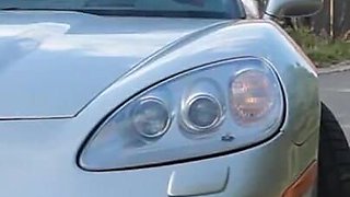 Hot Race for Anal Queen