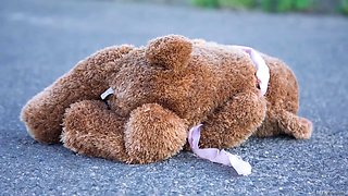 Aventures of Teddy Bear 2 - Starring: Carmen Callaway