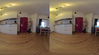 Just A Small Quickie With The Postman