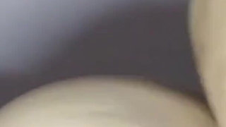 vidma_20250731_071515.mp4