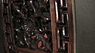 Extravagant Sheena Shaw's erotic trailer