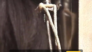 Ebony babe gets tits pegged while bound and ball gagged