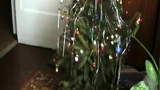 Amateur Cougar with Hairy Bush