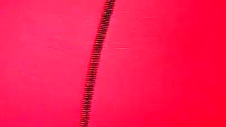 Vgq24 Aunty Sandra Wearing 1940's Stockings